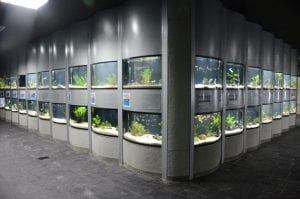 13acuario2