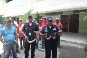 fueron halladas en un liceo 