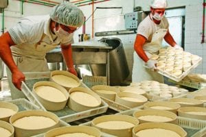 Gobierno debe $30 millones a industrias de queso: producen menos del 40% de capacidad