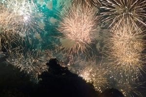 con fuegos artificiales 