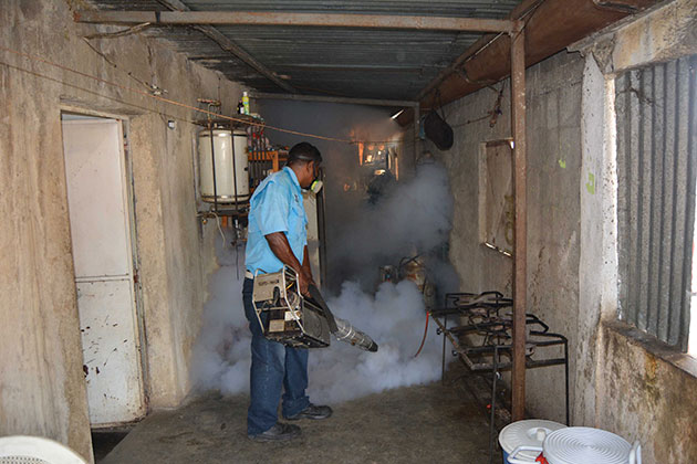 fumigación en el municipio Libertador