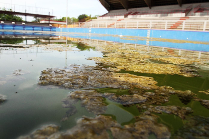 ¡Asco! Así se encuentran las piscinas del Polideportivo Luis Aparicio (+fotos)