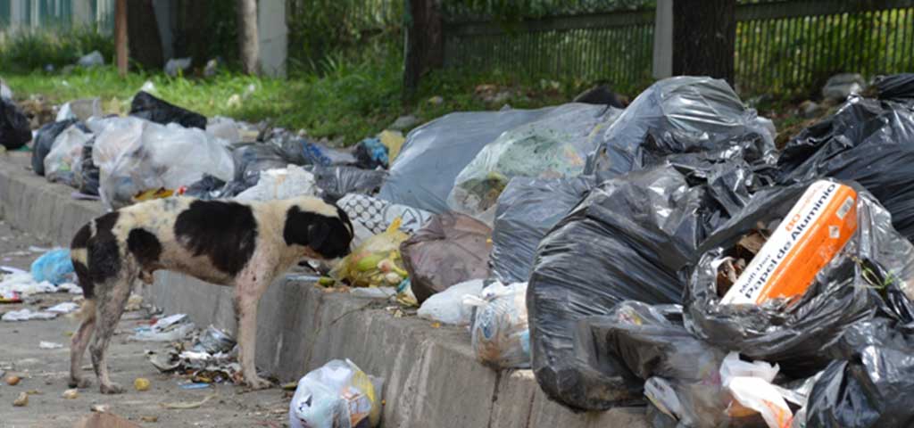 Basura