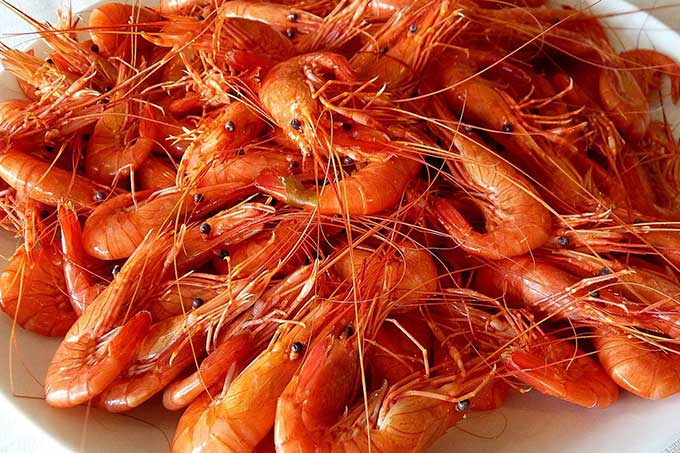 Prohíben pescar camarón y cangrejo azul: conoce hasta cuándo