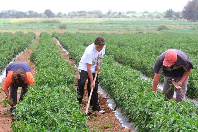 Gobierno ha entregado más de 30 mil instrumentos agrarios a productores