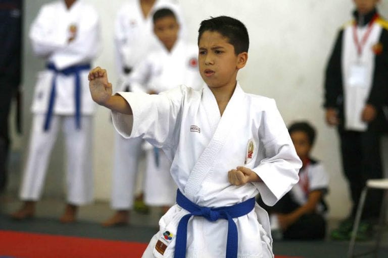 Este sábado se realizó el Campeonato Open de Venezuela de Karate-Do