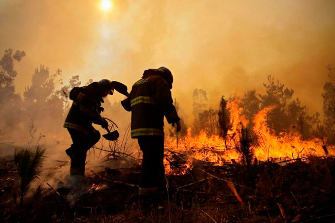 Inclementes incendios en Portugal han consumido 141.000 hectáreas