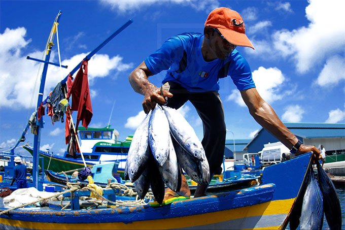 ¡Fiesta en el Mar! Hoy se conmemora Día Nacional del Pescador Artesanal