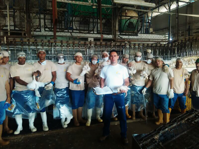 Sindicato Proagro Bejuma solicitó investigar producción irregular de pollo