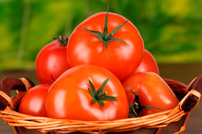 ¡Delicioso y nutritivo! Estos son los beneficios de consumir tomate