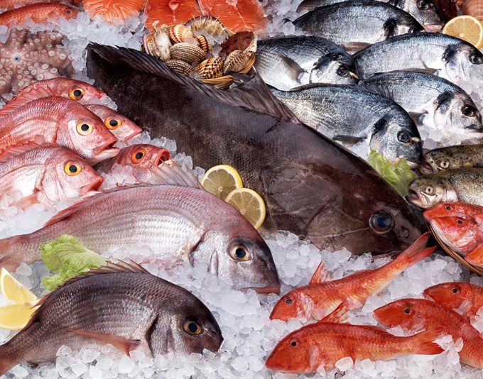 Más de 14 millones kilos de pescado se han distribuido hasta la fecha