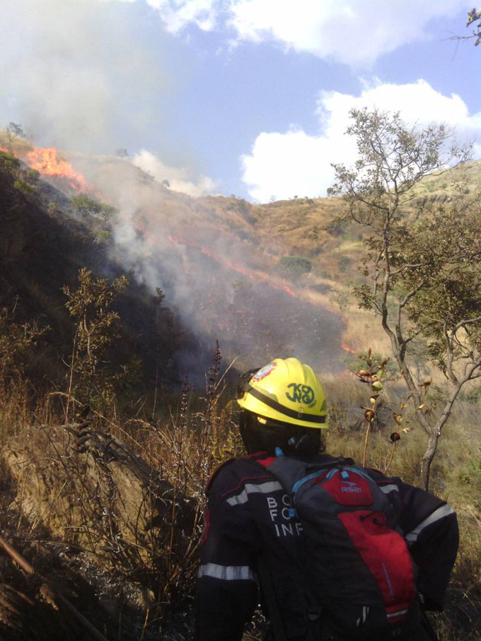 Disminuyeron incendios forestales en Carabobo