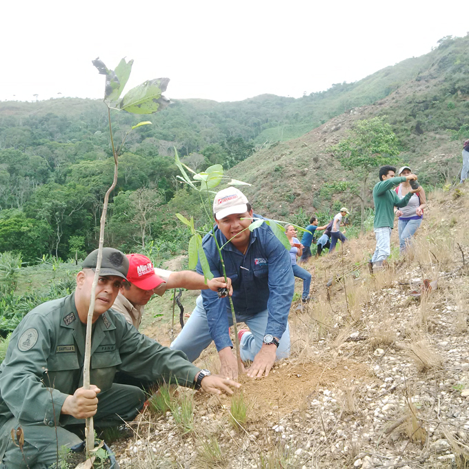 Minea Carabobo plantó 2.500 árboles en Montalbán