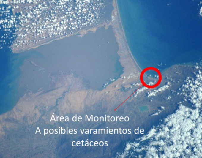 Evaluarán posibles varamientos en costas venezolanas