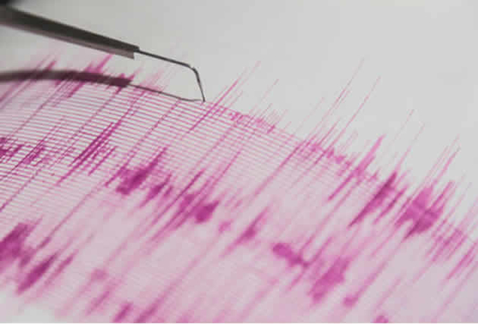 Sismo de magnitud 5,6 en la escala Richter se sintió en México