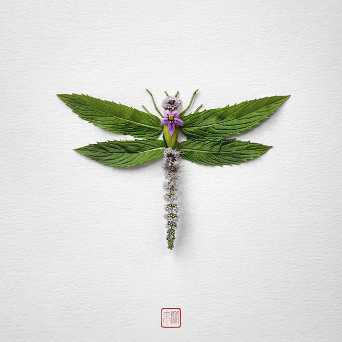 En fotos: mira esta creativa forma en la que representaron insectos