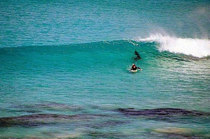 ¡Terror! Surfistas a punto de ser devorados por un tiburón (+video)