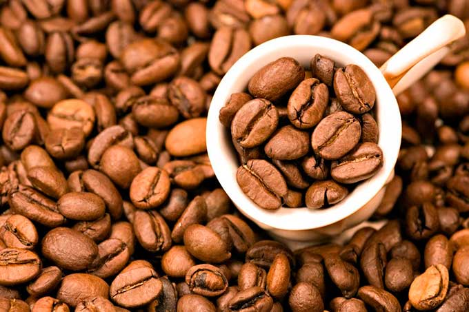 Entre septiembre y octubre Venezuela prevé exportación de café orgánico