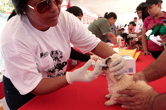 Misión Nevado realizará jornada veterinaria gratuita este sábado en Carabobo