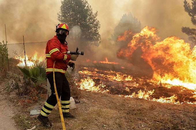 Masivo incendio ha cobrado 31 vidas en Portugal
