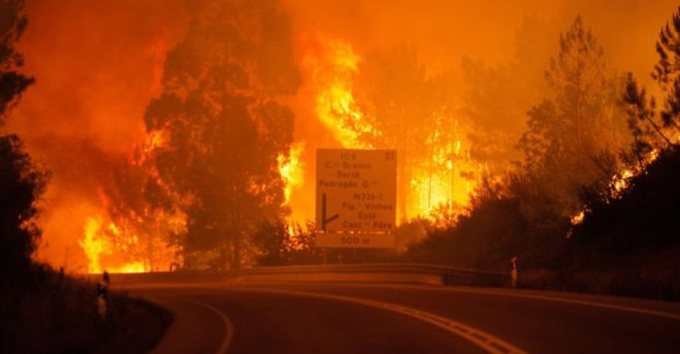 Inclementes incendios en Portugal dejan centenares de víctimas