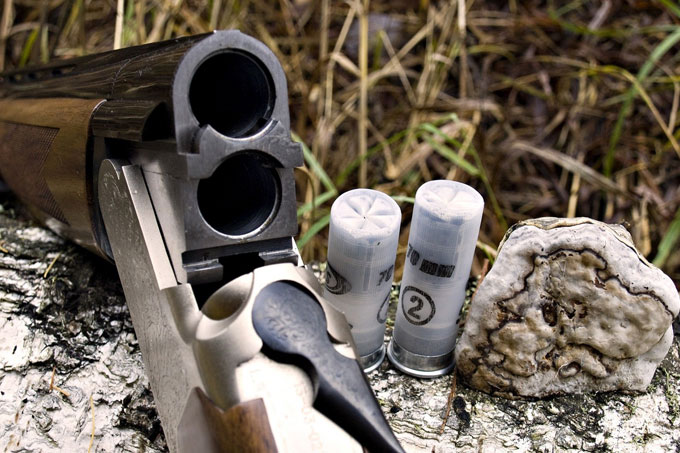 ¡Polémico! Ley de caza en EE UU permitirán porte de armas a niños