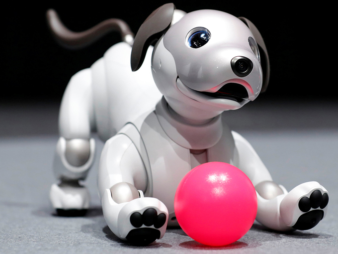¡Sorprendente! Perro «Aibo» de Sony está de vuelta en la robótica