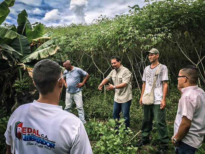 Inspeccionan siembra de más de 100 hectáreas de raíces y tubérculos en Tocuyito