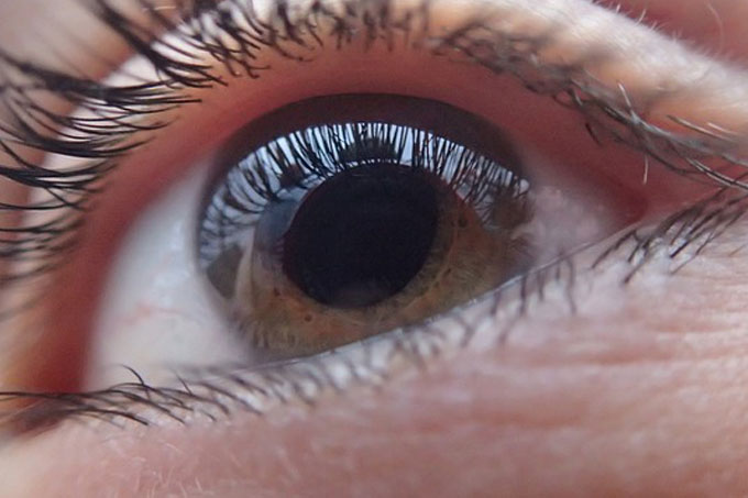 ¡Cuida tu vista! Hoy es el Día Mundial contra el Glaucoma