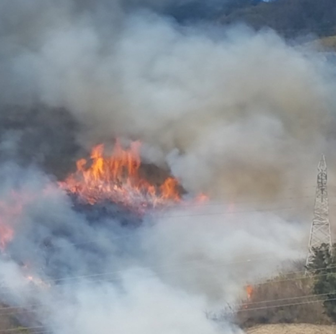 Voraz incendio afectó el parque nacional Waraira Repano