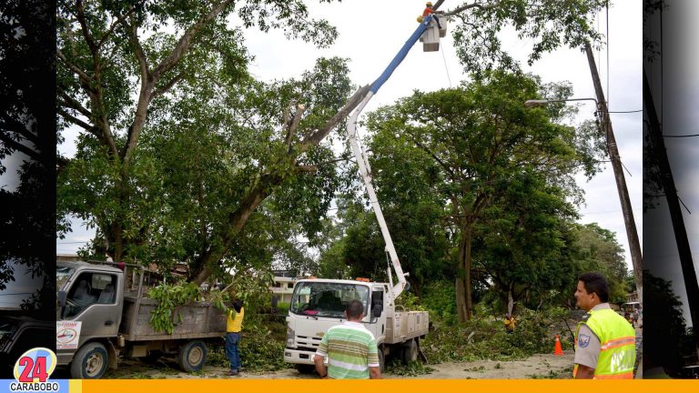 Alcaldía de Naguanagua poda árboles en beneficio del Servicio Eléctrico