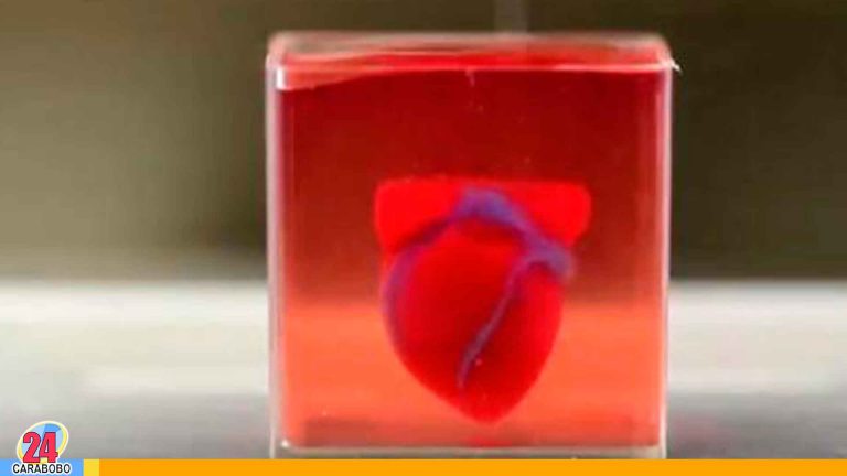 Sorprendente, crean el primer corazón impreso en 3D