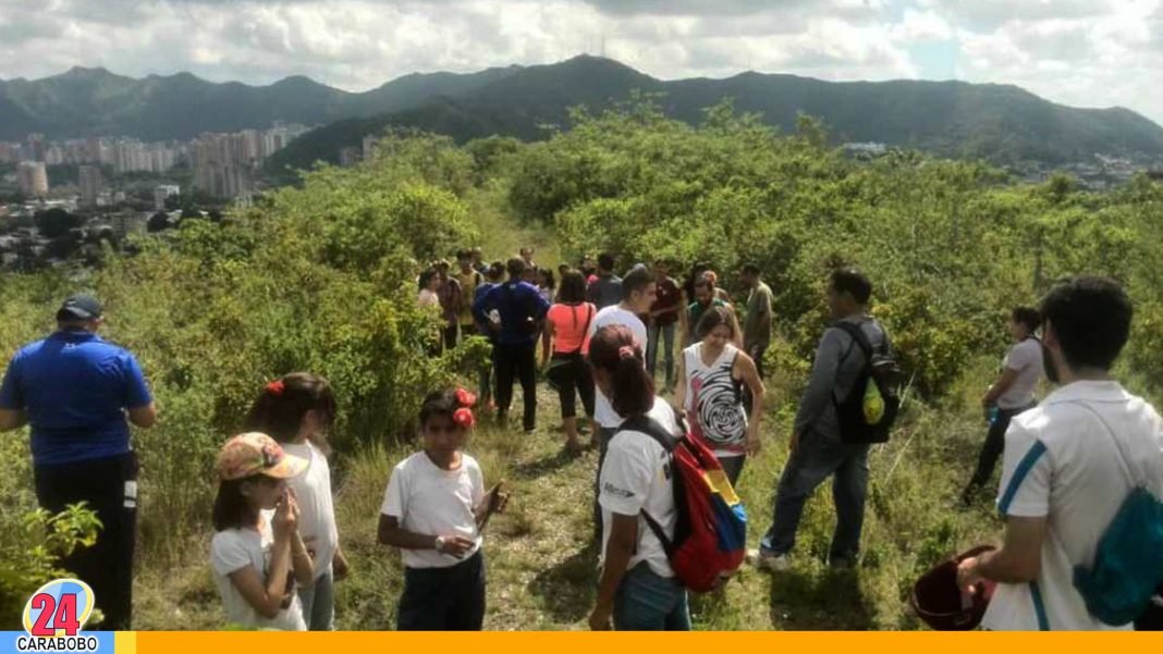 Noticias 24 Carabobo - Parque Filas las guacamayas