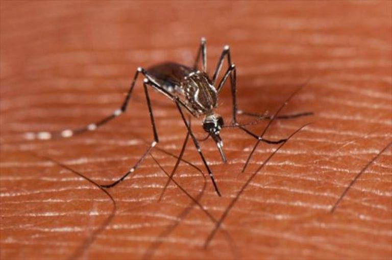 Autoridades de Filipinas en alerta por brote de Dengue