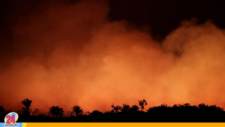 Amazonas en llamas: peligro latente que tendrá efecto en varios años