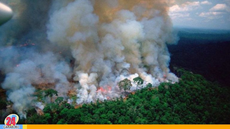 ¡Triste! El pulmón del planeta arde, Amazonas en llamas