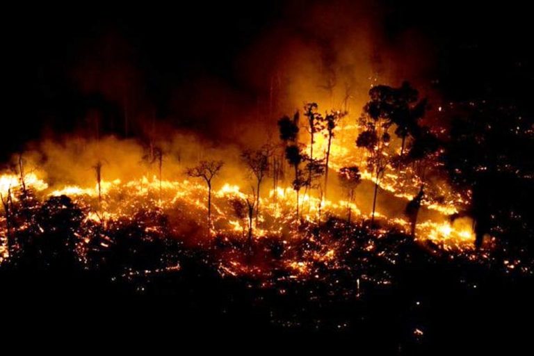 ¡Grito y exigencia mundial! Pulmón del Planeta asfixiado por las llamas