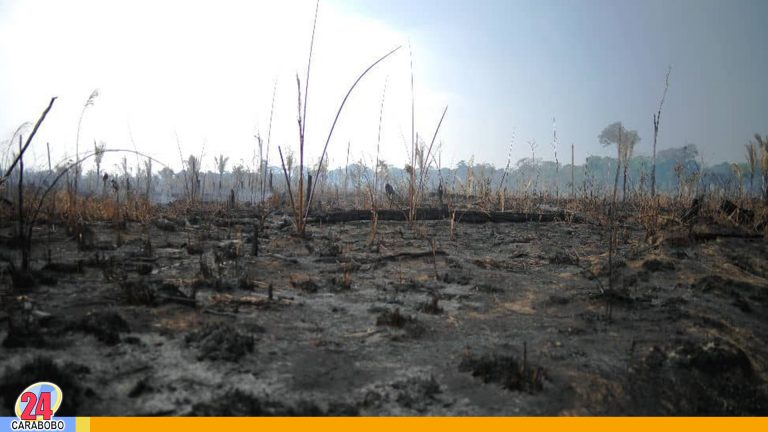 Ahora la minería ilegal cae al Amazonas luego de los incendios