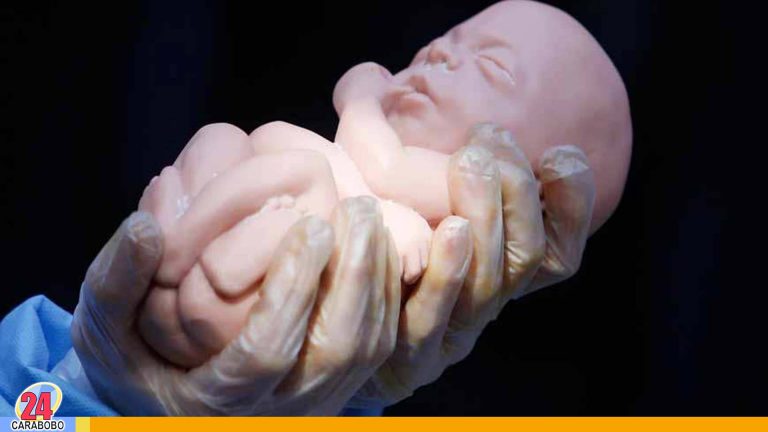 Encuentran más de 2.000 restos de fetos en casa de un médico
