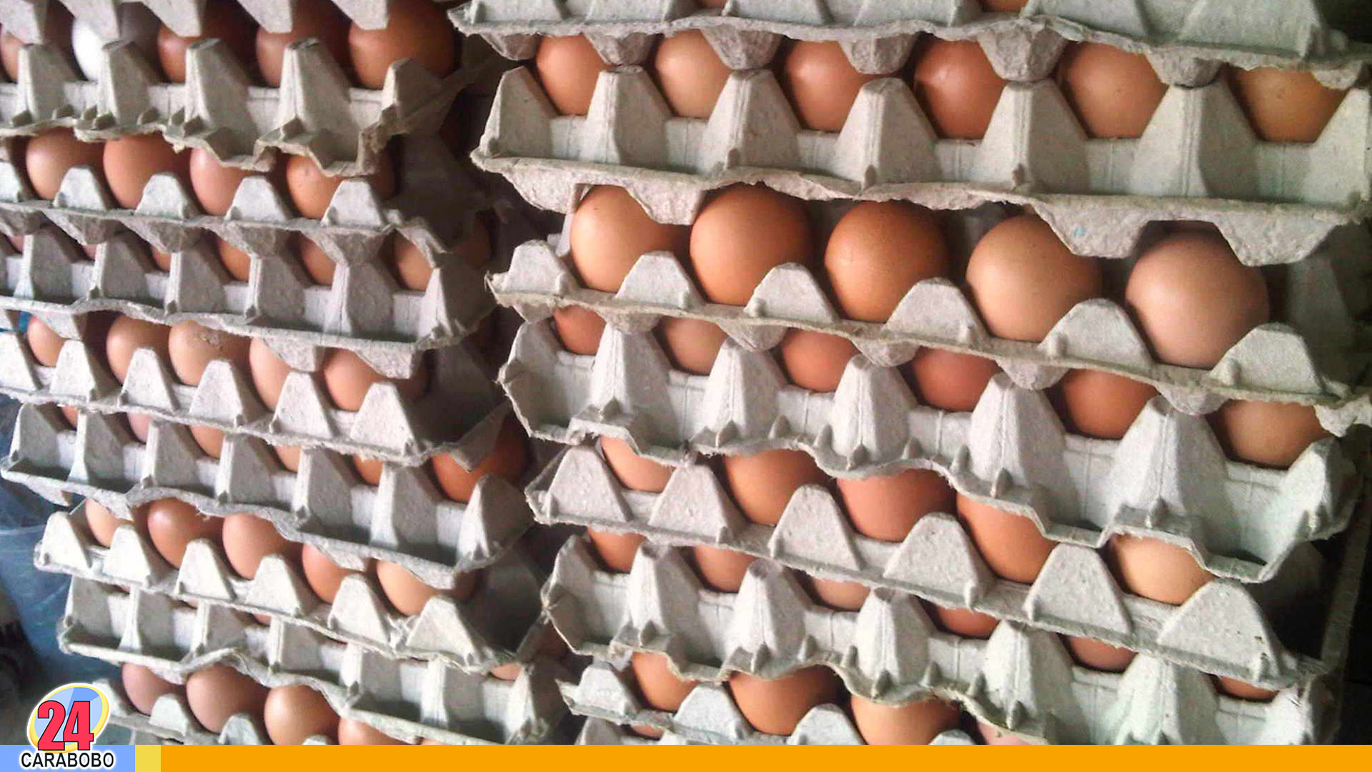 cartón de huevos