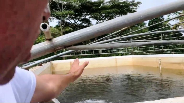 Crisis hídrica azota al occidente del estado Carabobo