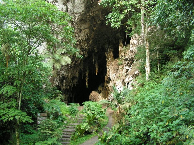 ¡Jardín del Oriente! Cueva del Guacharo el secreto de Monagas