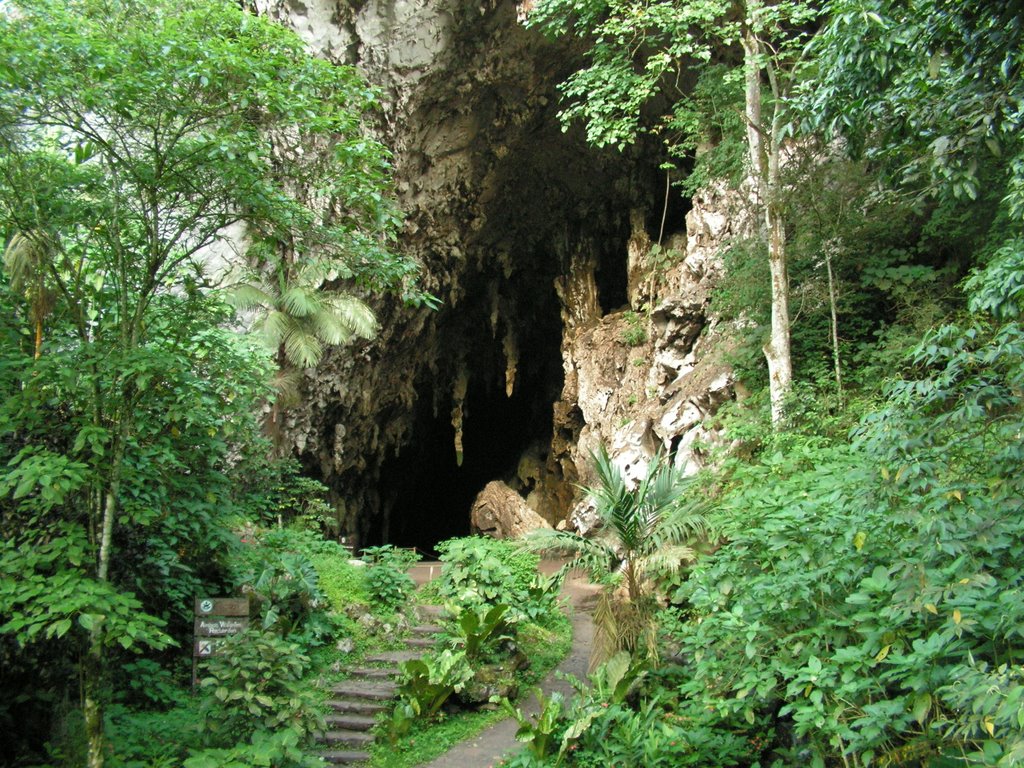 Cueva del Guacharo - Cueva del Guacharo