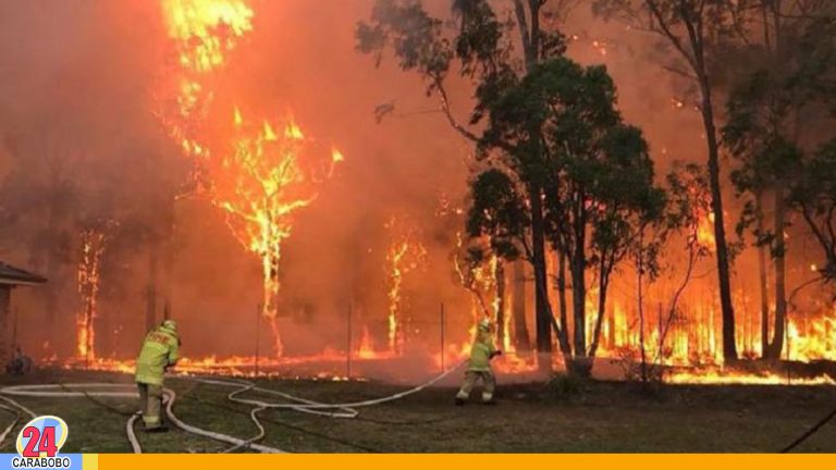 Incendios consumen Australia y rescate de koala conmociona al mundo