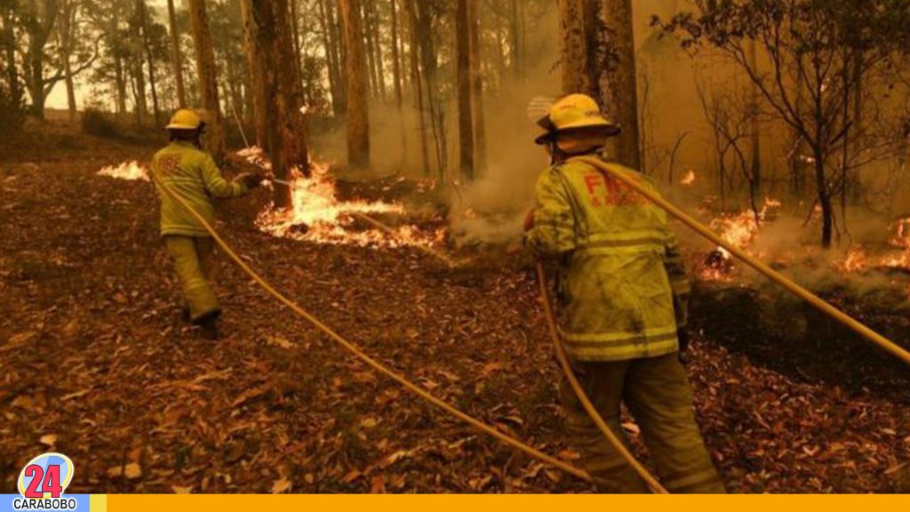 Incendios en Australia: El humo llegó a Chile tras recorrer 1.000 kilómetros