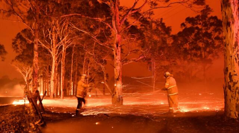 Incendios en Australia: Estado de emergencia en Nueva Gales