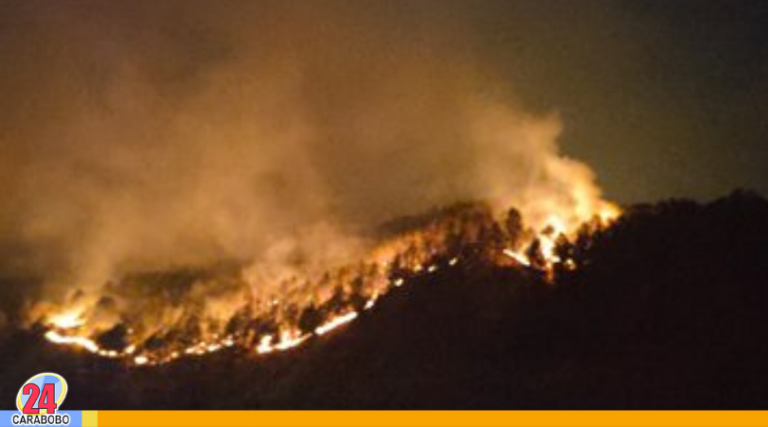 Montañas de Mérida son consumidas por incendios forestales