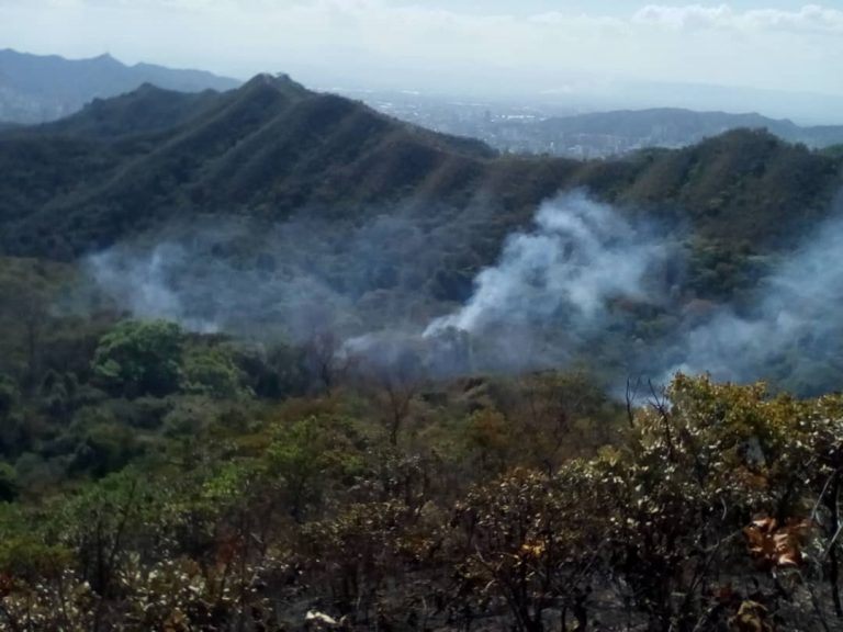 Incendios en el Cerro El Casupo preocupan a habitantes de la zona norte