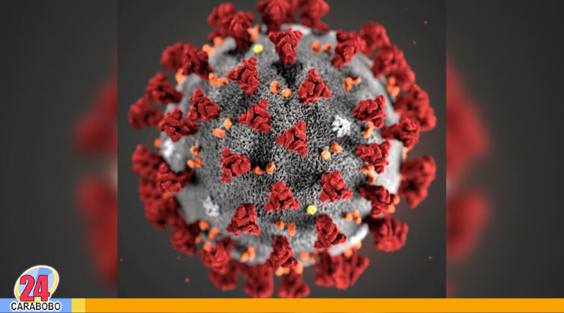 Coronavirus es una pandemia - Coronavirus es una pandemia