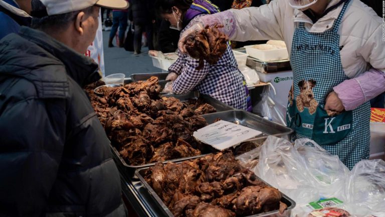 China sigue vendiendo murciélagos y animales exóticos